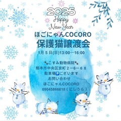 ⛄️ほごにゃんCOCORO譲渡会⛄️