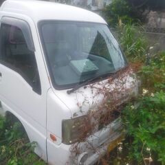 サンバー