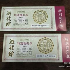 靖國神社　遊就館　特別割引券　2枚
