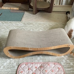 猫壱5点セットの画像