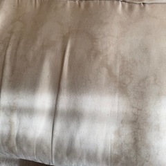 ソファベッドの画像