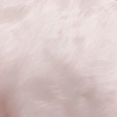 ファー ティペット 👗　キャバクラ　夜職 成人式 袴 着物 ドレスの画像