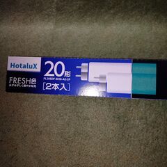 ２０型蛍光灯 １本