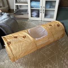 猫壱5点セットの画像