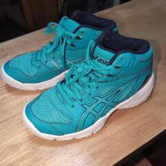バスケ　バッシュ　子供用　アシックス
