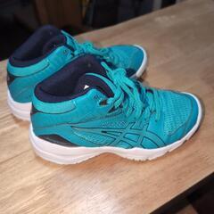 バスケ　バッシュ　子供用　アシックスの画像