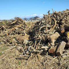 ★薪！マキ！写真現物【2024年伐採原木】★早い者勝ち！薪ストーブ用薪の準備に！の画像