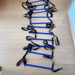 トレーニング用ラダー　