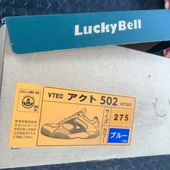 ラッキーベル　シューズ27，5cmの画像