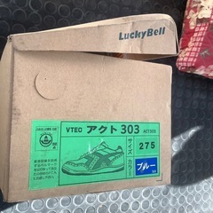 ラッキーベル　シューズ27，0cmの画像