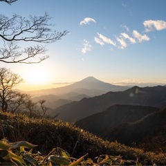 神奈川: 丹沢山塊登山仲間募集⛰️