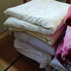 敷布団（綿）の画像