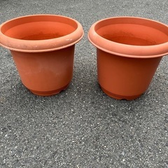 植木鉢プラ2鉢