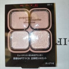 最終価格🌺ケイトポッピングシルエットシャドウ