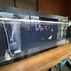 180cmアクリル水槽（４面黒)一式の画像