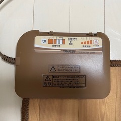 ホットカーペットの画像