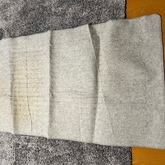 ニトリ　ホットカーペットの画像