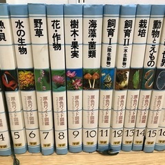 原色ワイド図鑑　全巻セットの画像