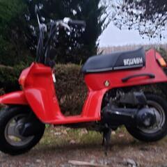 🛵HONDAスカッシュ‼️綺麗‼️低走行‼️カスタムなどに純正❗の画像