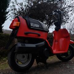 🛵HONDAスカッシュ‼️綺麗‼️低走行‼️カスタムなどに純正❗の画像