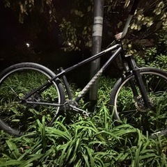 スペシャライズド ダートジャンプp2
の画像