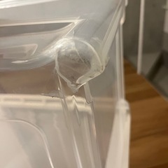 ニトリ　押入れ収納ケース　6個Lサイズ　奥行き74センチ✖️幅39センチ✖️高さ30センチの画像