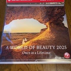 A WORLD OF BEAUTY 2025 JAL カレンダー