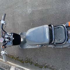 ズーマー　FI  原付　
実働車の画像