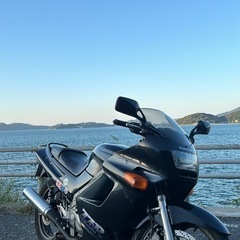 ZZR250