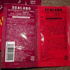 スカラボの画像