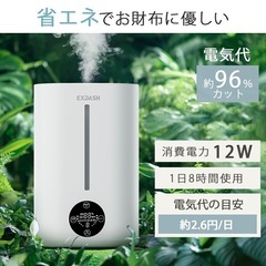 加湿器(訳あり)の画像