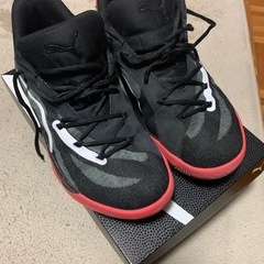 PUMAオールプロニトロスエード