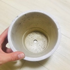 アジアン風植木鉢の画像