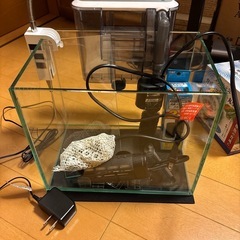 ＧＥＸ グラステリア２５０水槽セット