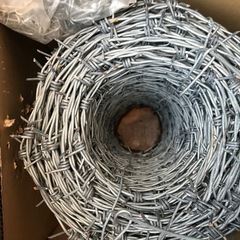 鬼針金