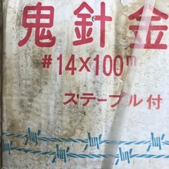 鬼針金の画像