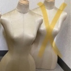 ジュエリー用トルソー