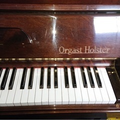 無料⭐︎ Orgast Holster ピアノの画像