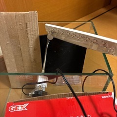 ＧＥＸ グラステリア２５０水槽　 セットの画像