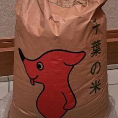 千葉県米30kg