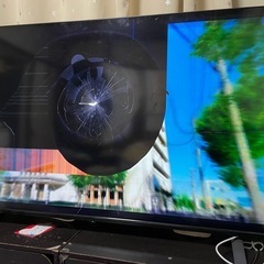 テレビ