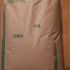 『1袋のみ』令和6年度産  つや姫30kg(玄米)