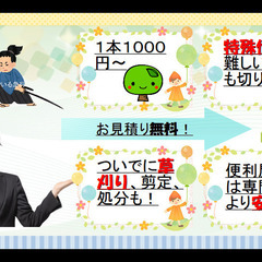 伐採できるスタッフ募集