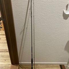 エギング用の釣り竿
