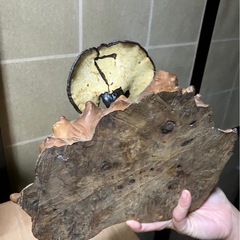 置き物（キノコ）の画像