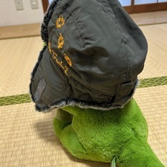 フライトキャップの画像