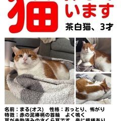 1月9日　まる戻ってきました😭😭😭‼️