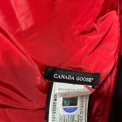 カナダグースの画像