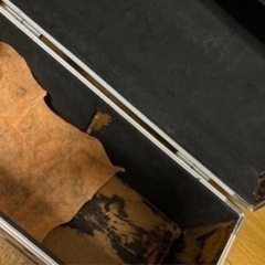 エフェクター　再出品の画像