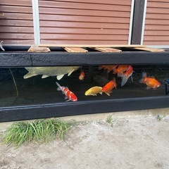 1800FRP窓付き水槽